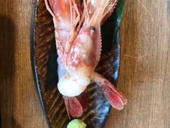 -札幌二条市场 大矶(本店)