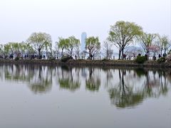 -无锡蠡湖国家湿地公园-蠡园