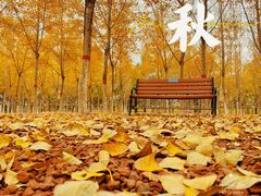 -香山公园