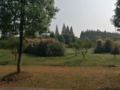 主入口风景-南湖湿地公园