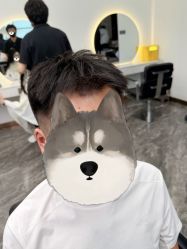 -YESIDO椰岛造型