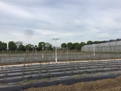 -上膳源有机农场