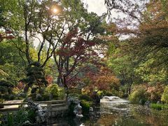 -上海醉白池公园
