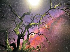 -罗红摄影艺术馆