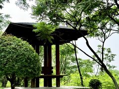 -莫子山公园