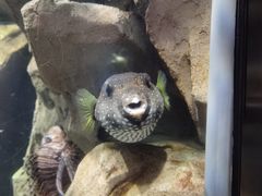 -锦艺城海洋馆