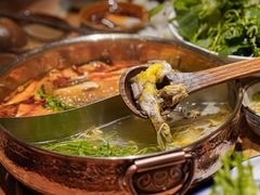 刺梨白酸锅-黔诚多彩火锅(甲秀楼店)