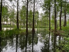 -西溪国家湿地公园