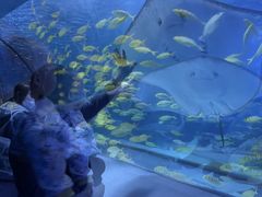 -太平洋海底世界