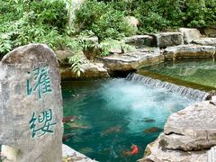 -老板恋上鱼(印象城店)