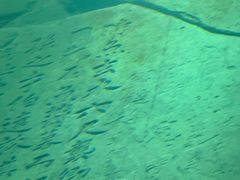 -白鹤梁水下博物馆