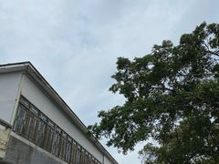-伦教678文化街