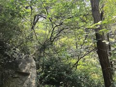 -封龙山风景区