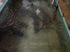 -桃园美食(水库路店)