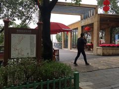 -金鸡山公园