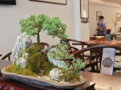 -苏州老字号·苏面斋·秃黄油·三虾面苏式面馆