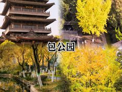 -合肥滨湖国家森林公园