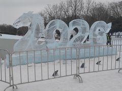 -沈阳奥体冰雪嘉年华