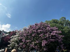 -杭州城北体育公园