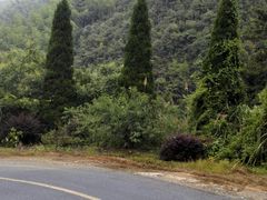 -东天目山风景区