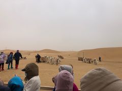 -银肯塔拉沙漠生态旅游景区