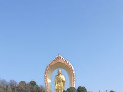-庐山风景名胜区-东林大佛