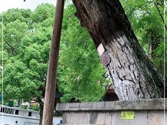 -遵义会议纪念馆