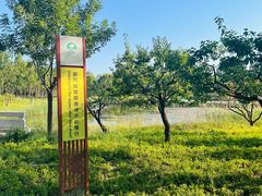 -东郊湿地公园
