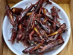 -昆虫窝子·特色云南菜(拓东路总店)