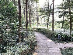 -成都市活水公园