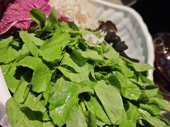 现烫鸡毛菜-皖厨·中国徽菜(星河WORLD·COCO Park店)