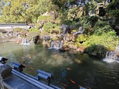 -江心屿景区