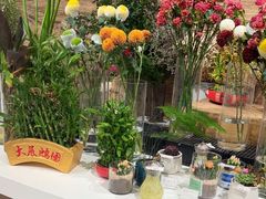 -七鲜超市(瑞虹天地太阳宫店)