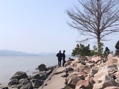 -深圳湾公园(南山区)