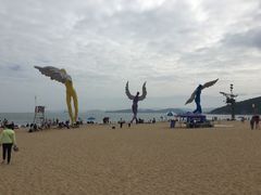 -大梅沙海滨公园