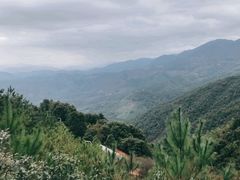 -大余丫山旅游度假区
