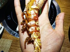 -蟹将军·松叶蟹和牛日料放题自助(K11店)