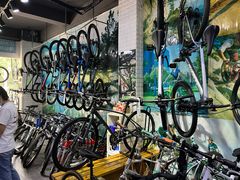 -GIANT捷安特自行车专卖店(金桥台儿庄路店)