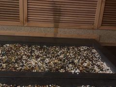 -汤泉良子.足疗按摩.SPA(中关村店)