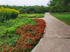 -长春公园(普阳街道)