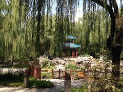 -南宫温泉水世界