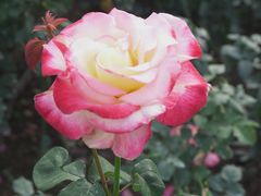 -人民公园(罗湖区)