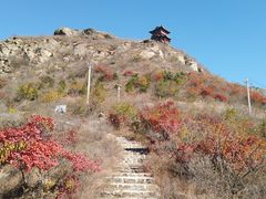 -定都阁