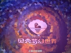-贝壳梦幻世界