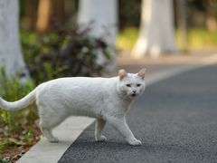 -苏州河梦清园环保主题公园
