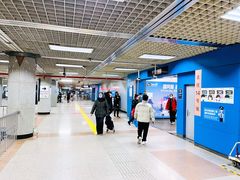 -大望路(地铁站)