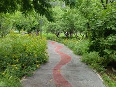 -莲花池公园