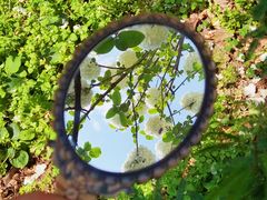 -大龙山(地铁站)