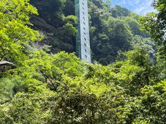 -碧峰峡风景区