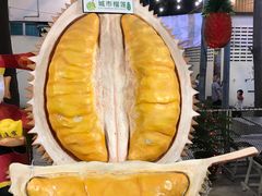 -都念榴莲·城市榴莲
